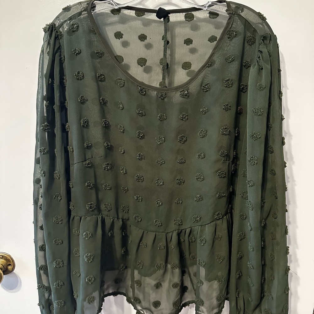 Elegant Green Sheer Women's Top